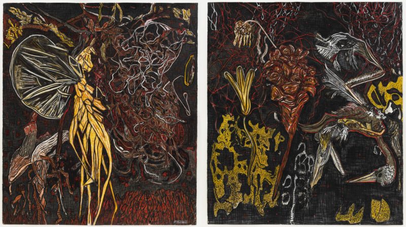 1. Suzanne Archer 'Vasculum and Exuviae-Custodian Series ' 2020 ink and chalk pastel diptych, unframed 160 x 290 cm