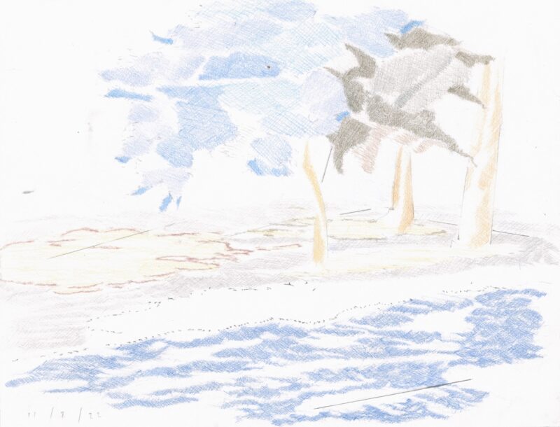 Martin George 'Blue trees ' 2022 pencil on paper 25 x 32.5 cm $400