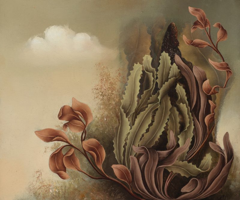 Judith Van Heeren 'Embrace' 2025 oil on linen board 25 x 30 cm $3,900