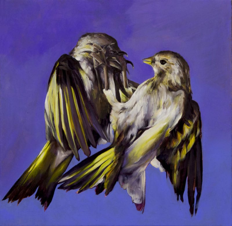 Karla Marchesi 'Bird in the hand' 2018 oil on linen 60 x 60 cm