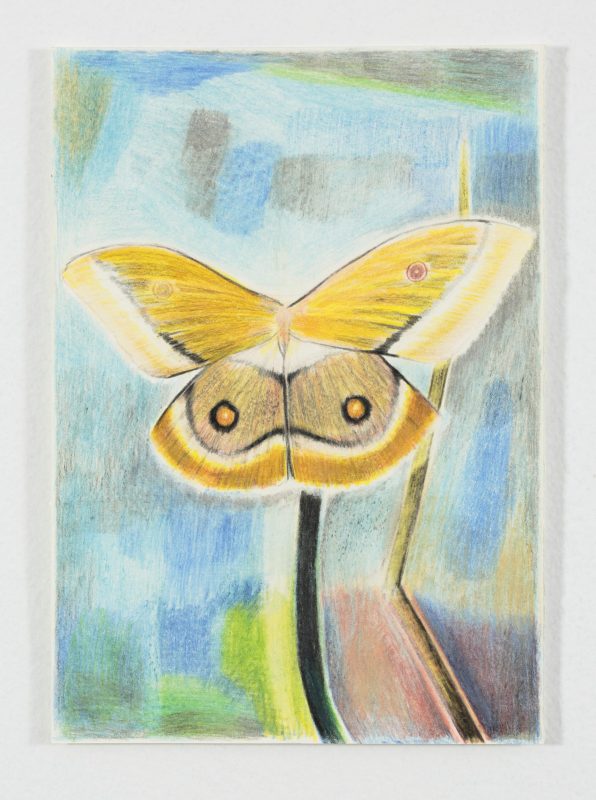 Pia Murphy 'Studio drawing 10' 2025 mixed media on paper 30 x 21 cm $490 unframed, $750 framed