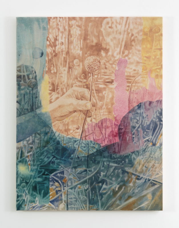 Kylie Banyard 'Touching drumstick' 2022 oil and acrylic on eucalyptus and beetroot dyed canvas 120 x 84 cm $4,400