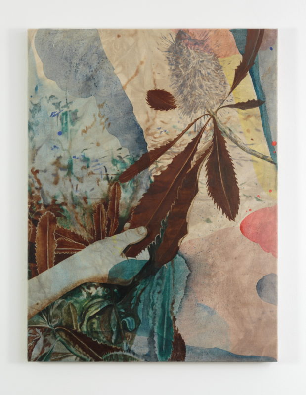 Kylie Banyard 'Touching banksia for the future' 2022 oil and acrylic on oak and beetroot dyed canvas 120 x 84 cm $4,400