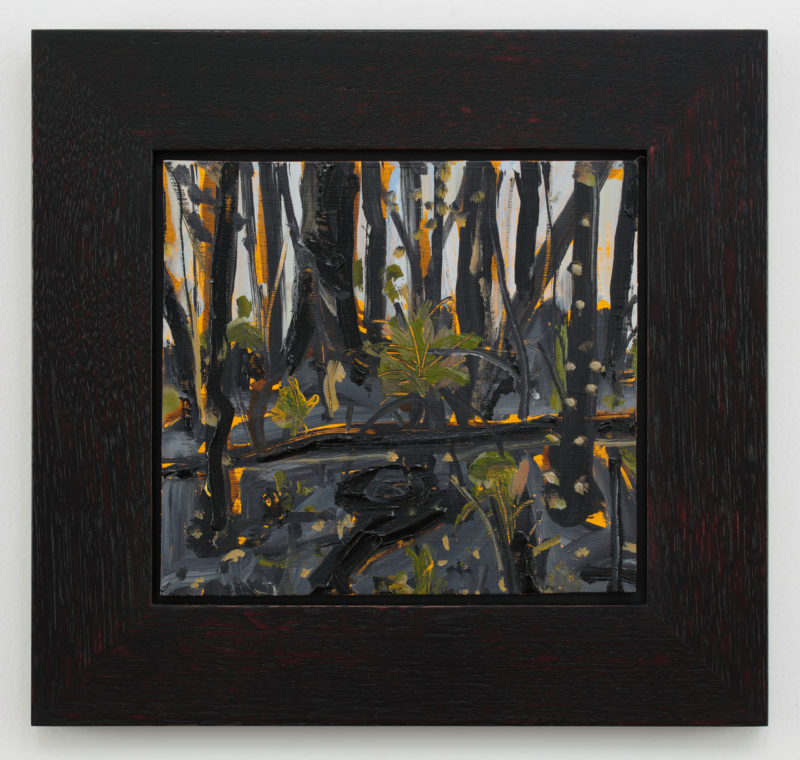 Peter Sharp 'After the fires, Forster' 2019 acrylic on board 23 x 25 cm