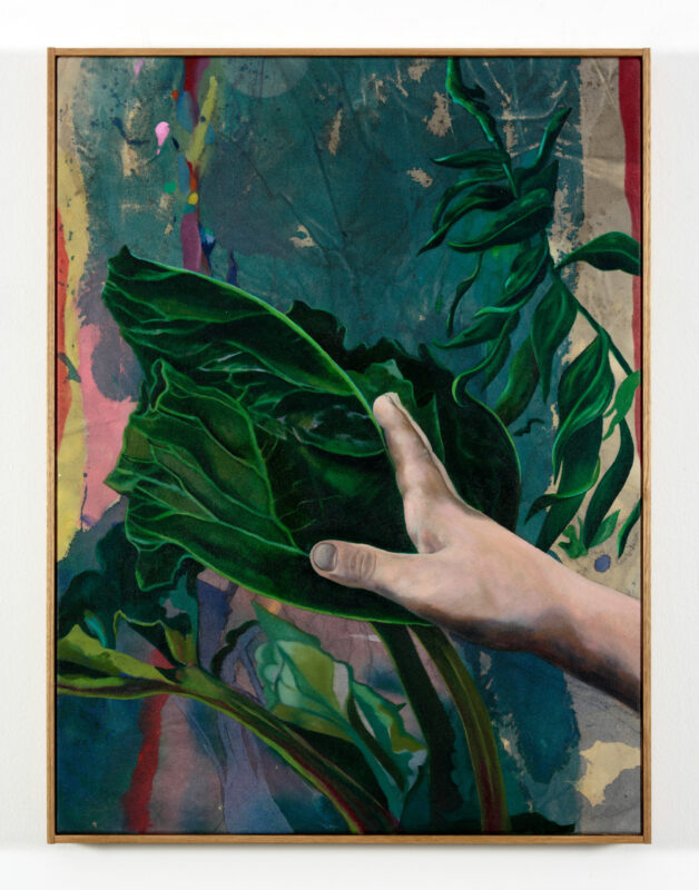Kylie Banyard 'Touching rhubarb' 2023 oil and acrylic on Eucalyptus dyed canvas 81 x 61 cm $2,500