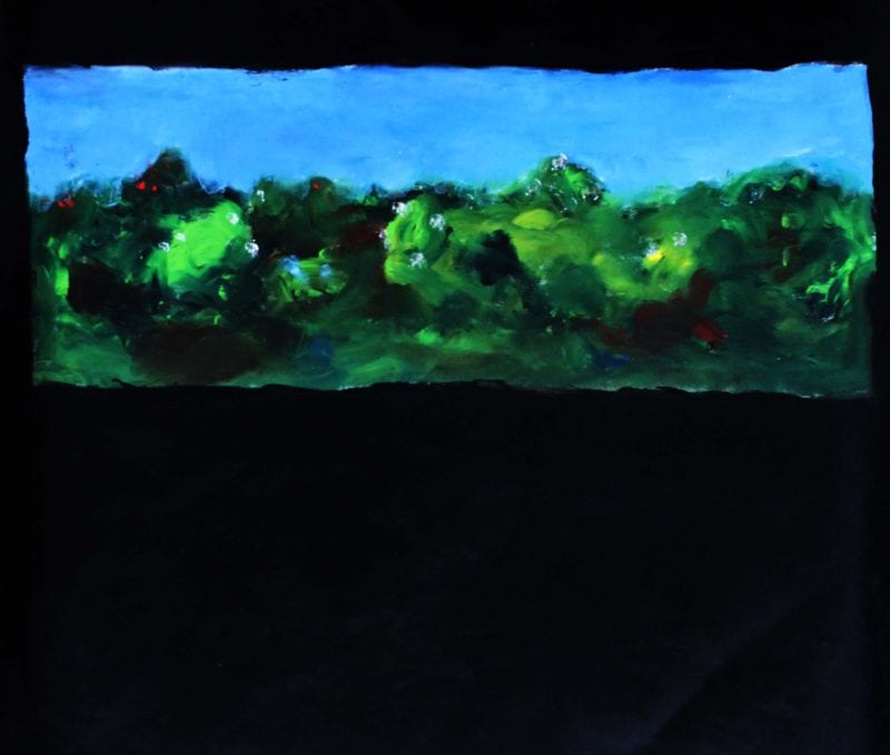 Gordon Shepherdson 'Flowering landscape' 2013 oil and enamel on paper 51 x 59 cm
